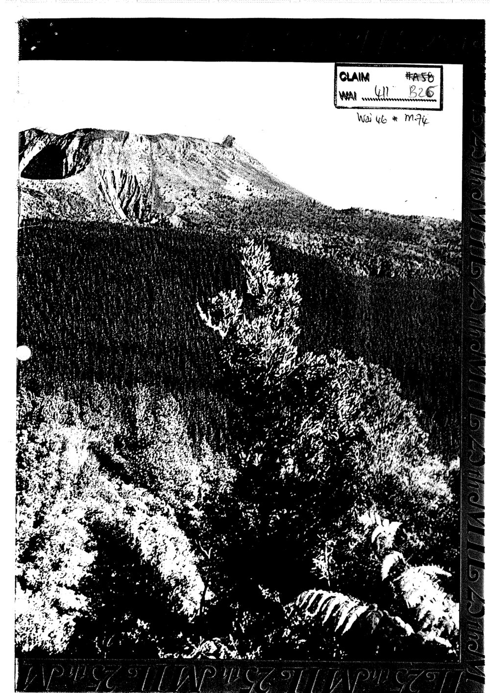 Wai 46_INQ_M074_Annual Report &amp; Balance Sheet - Maori Investments Limited - 1994