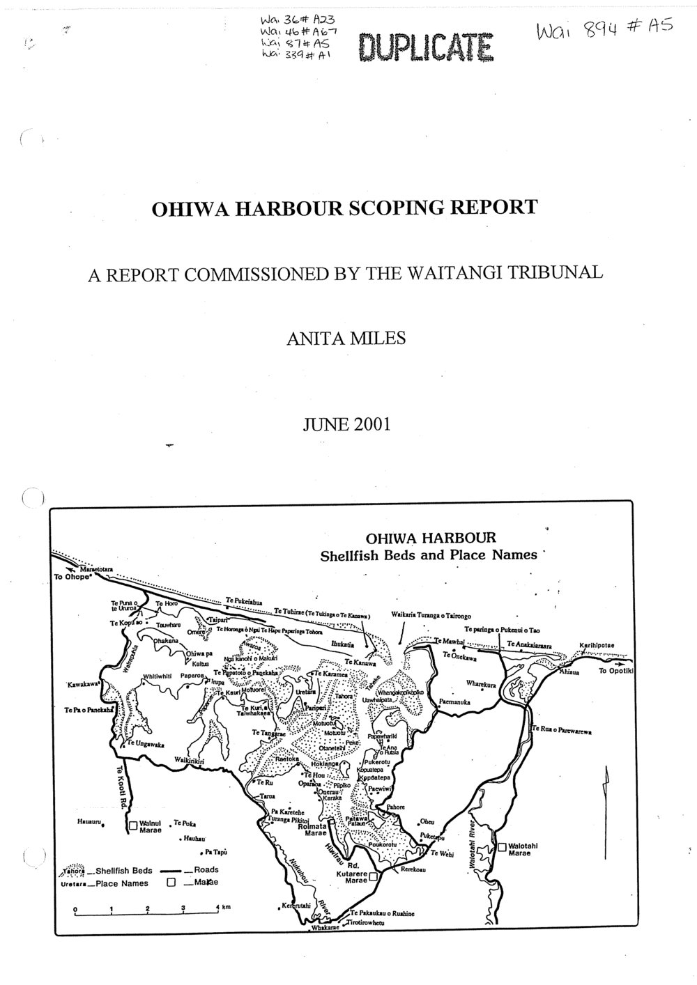 Wai 46_INQ_M084_Report Ohiwa Harbour Scoping - June 2001