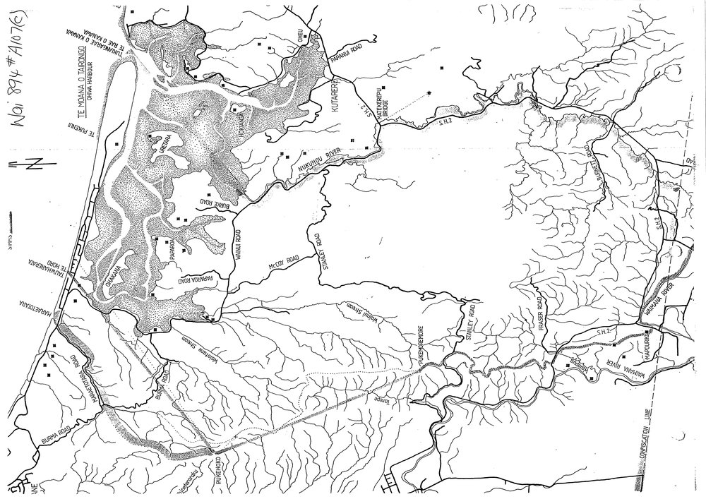 Wai 46_INQ_F003 (c)_Map