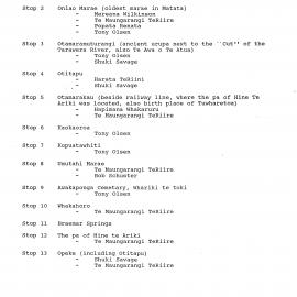 Wai 46_INQ_E017_Hikoi 30 March 1995