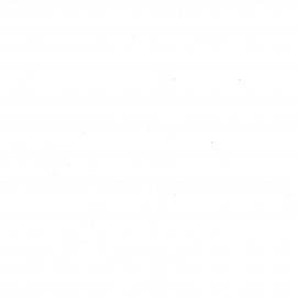 Wai 46_INQ_C004_Folder 1_Statement of Claim by W S Savage & G M Park RE Tarawera 1