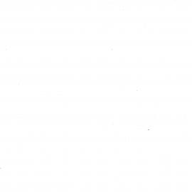 Wai 46_INQ_C004_Folder 2 part 3_Sitting held in War Memorial Hall, Whakatane - 2 August 1966