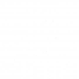 Wai 46_INQ_C004_Folder 3_Proposal Main Features of The Tarawera Forest