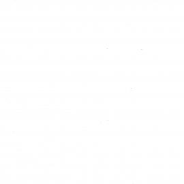 Wai 46_INQ_C004_Folder 7_Plating on Putauaki - Tasman