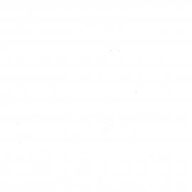 Wai 46_INQ_C004_Folder 9_Summary of Review - Tarawera Guarantee