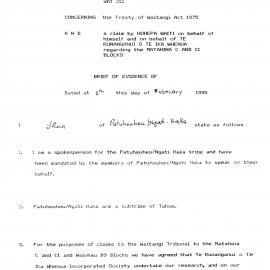 Wai 46_INQ_D011_Brief of Evidence RE Wai 212