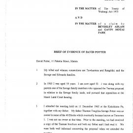 Wai 46_INQ_M035_Brief of Evidence of David Potter