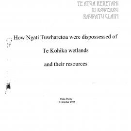 Wai 46_INQ_I011_REPORT RE Tuwharetoa & Wetlands - 17 October 1995